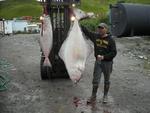 georgeous United States man  from Dutch Harbor US6206