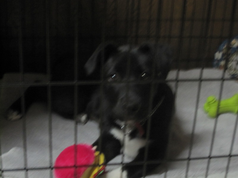 Date this happy United States girl Flabra from San Diego US9259