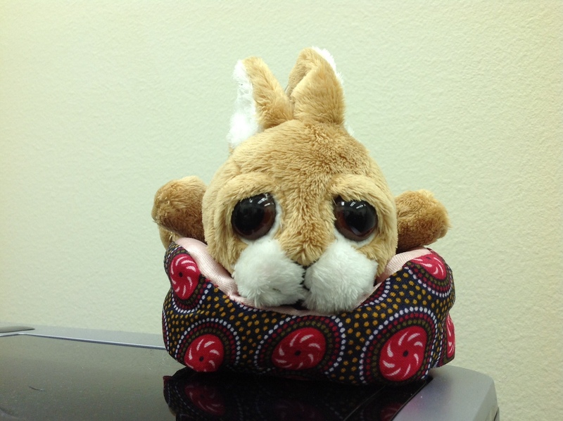 Date this good-looking United States man BUSCAR from VIRGINIA BEACH US11888