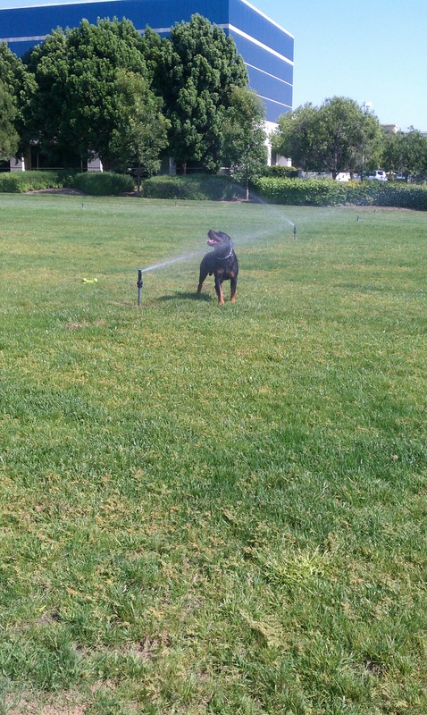 Date this tall United States man Most from Los Angeles US12798