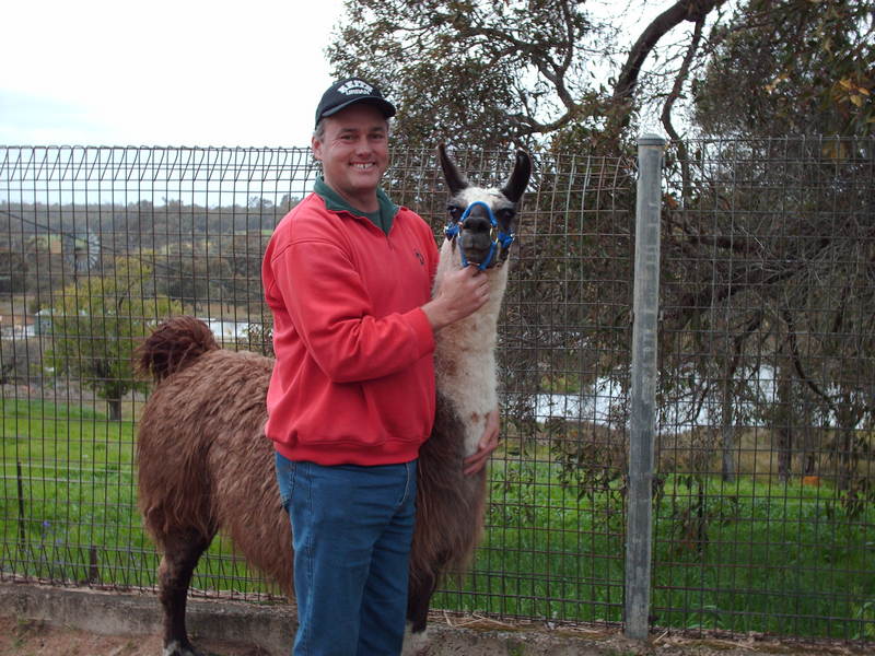 Date this pretty Australia man Peter from Rockhampton AU233