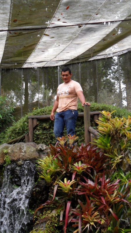 Date this georgeous Colombia man Julio sanchez from Cali CO14383