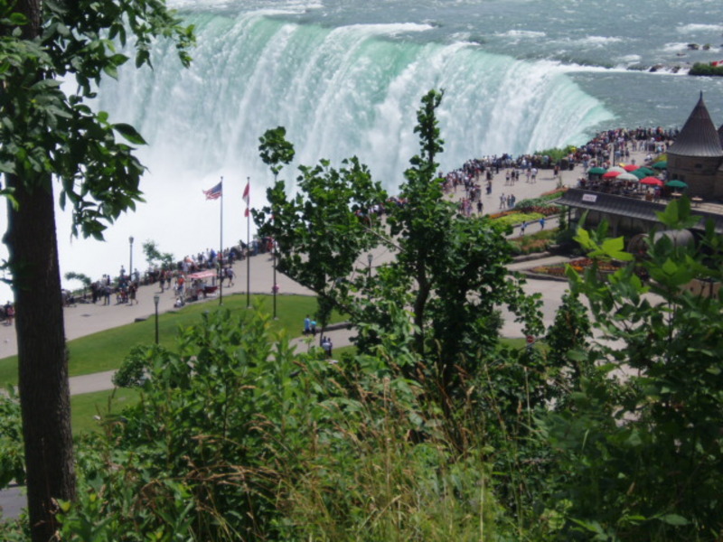 Date this exotic Canada man Tigresalvaje from Niagara Falls CA627